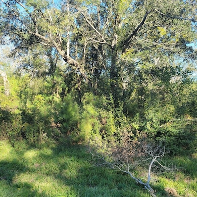 000 Farm To Market 562, Anahuac, TX 77514 - photo 4