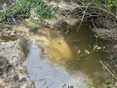 TBD NW County Road 274, Altha, FL 32421 - photo 6