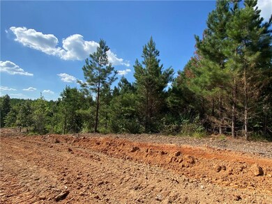 96 Limp Limb Ct, Broken Bow, OK 74728 - photo 6