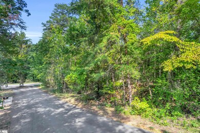 101 & 103 George Williams Dr, Easley, SC 29640 - photo 4