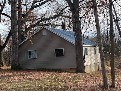 1273 E Bridge St, Lyons, MI 48851 - photo 2