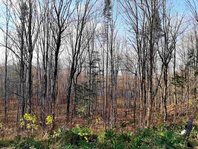 Lot 3A Hoyt Run, Stewartstown, NH 03576 - photo 6