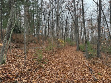 0 Rosenkranz Ln unit 420573, Hiawassee, NC 28904 - photo 2