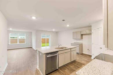 256 Red Vineyard Way unit Lot 11, Jacksonville, NC 28546 - photo 5