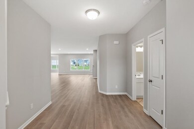 11437 W 123rd Ave, Cedar Lake, IN 46303 - photo 4