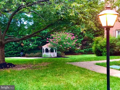 3330 Spring Ln unit D32, Baileys Crossroads, VA 22041 - photo 6