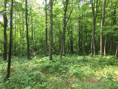 112 Acres 11th Ave, Chetek, WI 54728 - photo 2