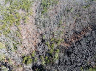 Tract 4 Wilhite Rd, Pittman Center, TN 37876 - photo 3