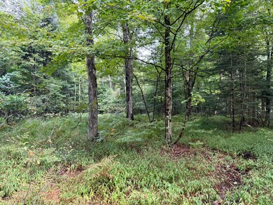 1.1 Farr Rd unit 1, Ohio, NY 13324 - photo 5