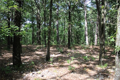 617 U S 59, Jay, OK 74346 - photo 5