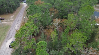 9700 N Langdon Rd, Citrus Springs, FL 34434 - photo 2