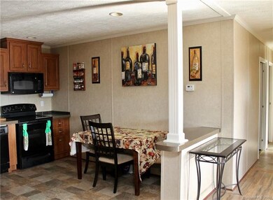 60 Green Acres Dr, Leicester, NC 28748 - photo 4