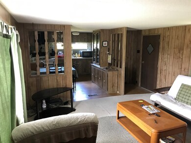 399 Helena-Chauncey Rd, Helena, GA 31037 - photo 6