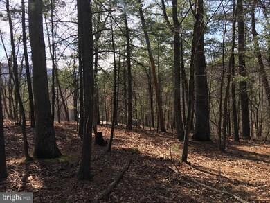 0 Nicklaus unit VASH116988, Basye, VA 22810 - photo 6