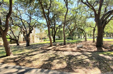 26904 Autumn Glen, Boerne, TX 78006 - photo 2