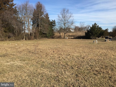 11 North Ave, Smyrna, DE 19977 - photo 3