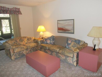 175 E Hartford St unit 8 2B, Hernando, FL 34442 - photo 6