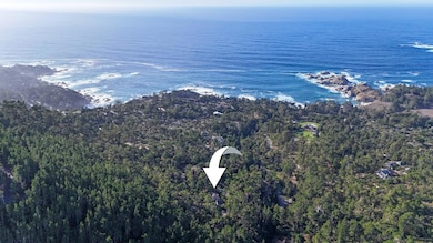 100 Cypress Way, Carmel-By-the-sea, CA 93923 - photo 5