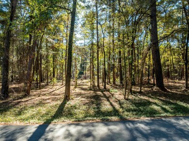 0 Pintail Dr Lot 6, Flint, TX 75762 - photo 7