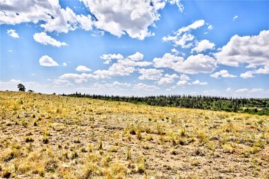 59 Pelican Place, Como, CO 80432 - photo 7