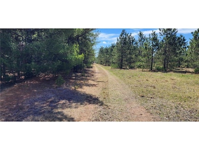14629 Benson Road Rd, Grantsburg, WI 54840 - photo 2