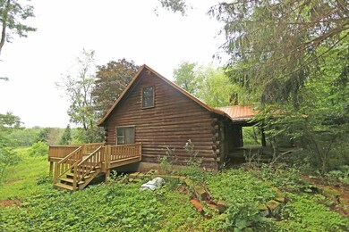 29221 Flat Run Rd, Danville, OH 43014 - photo 5