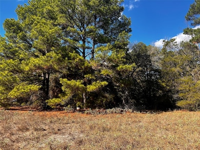 411 Laura Ln, Bastrop, TX 78602 - photo 5