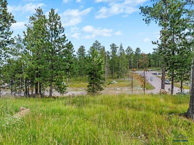 Lot 9 Block 11 Other unit Trailside Road, Lead, SD 57754 - photo 2