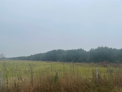 1015 Daily Rd, Rosenberg, TX 77471 - photo 3