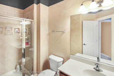 305 White Pines Ln, Oswego, IL 60543 - photo 5