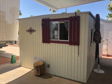 WINDOWS IN SHED