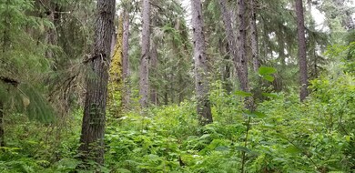 20180718_115306_resized