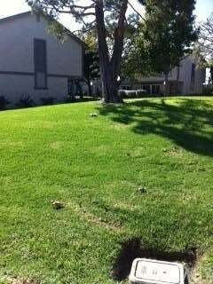 Green Belt outside Living Room