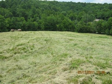 1354 Birdie Rd, Lawrenceburg, KY 40342 - photo 2