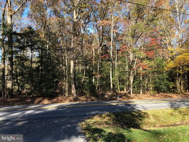 Lot 1 Peterkins Rd, Georgetown, DE 19947 - photo 5