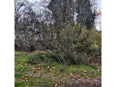 0 N 1st St unit 122941666, St. Helens, OR 97051 - photo 7