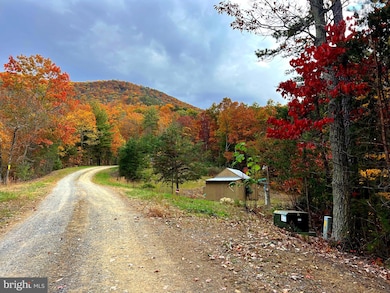 38 Gray Squirrel, Moorefield, WV 26836 - photo 2