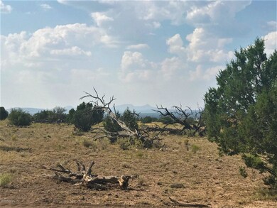 45210 N Honeysuckle Rd, Ash Fork, AZ 86320 - photo 2