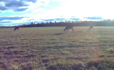 9166 Saralampi Rd, Meadowlands, MN 55765 - photo 6