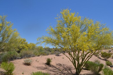 10 Acres (5)