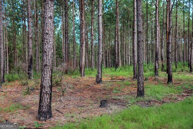 0 Moores Store Rd, Richland, GA 31825 - photo 6