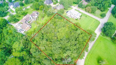 0 Richmond Ln unit 23919693, Friendswood, TX 77546 - photo 4