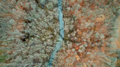 0 Allen Rd unit 292771, Fowlerville, MI 48836 - photo 3