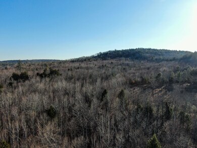DJI_0811