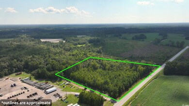 0 Highway 521 unit Tract 2, Greeleyville, SC 29056 - photo 2