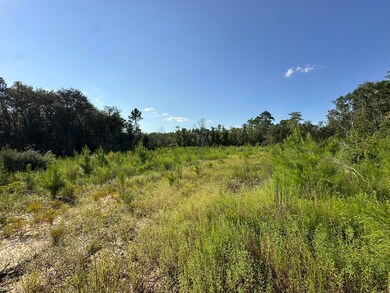 Tract#6409 River Rd unit 250.72+/-AC, Caryville, FL 32427 - photo 4