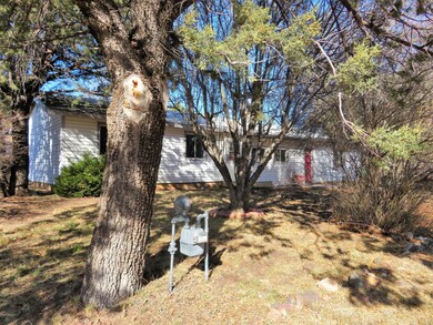 260 S 5th Place, Show Low, AZ 85901 - photo 4