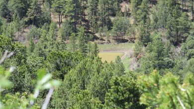 32450 Timber Ridge Ln unit B31, Trinidad, CO 81082 - photo 3