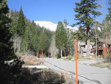 Views from the existing driveway