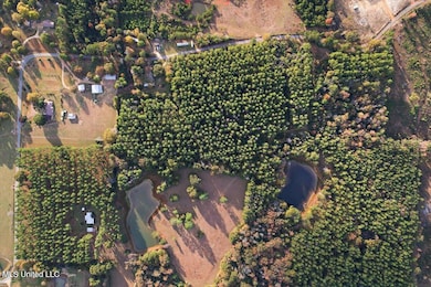 00 Anse Reed Rd, Magee, MS 39111 - photo 3